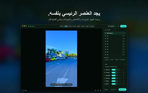 يجد العنصر الرئيسي بنفسه. يرصد الجهاز السيارات والأشخاص والحيوانات ويُنشئ أقنعتها لك.